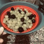 0E0F693C-155D-4954-8D95-8BF0E64A844A