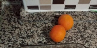 Nefis Portakallı Cevizli Kek Tarifi