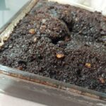 Pratik Islak Kek Tarifi