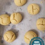 20200809_214527-scaled