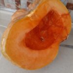 Bal Kabağı Tatlısı Tarifi yapımı nasıl yapılır kaç kalori