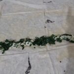 Ispanaklı Börek Tarifi (nasıl yapılır-kaç kalori) kolay börek yapımı