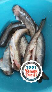 Fırında İnci Kefal Balık