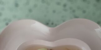 ev yapımı elma kompostosu tarifi-elma hoşafı nasıl yapılır