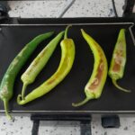 Közlenmiş biber salatası tarifi