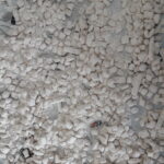 Tutmaç Çorbası tarifi Nasıl Yapılır