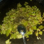 Etli Sebzeli Sac Tava yapımı