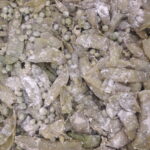 bezelye kızartması tarifi