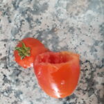 Yumurtalı Domates Dolması