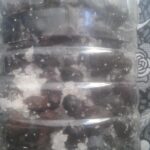 zeytin nasıl yapılır