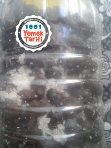 kolay siyah zeytin yapımı