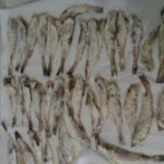 Mezgit Tava yapımı