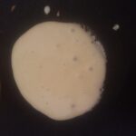 Şekersiz Muzlu Pankek tarifi