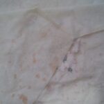 kolay Gözleme Tarifi