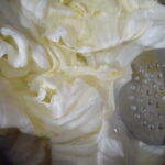 Lahana Sarması Nasıl Yapılır