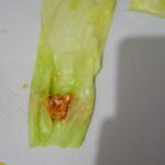 Lahana Sarması kaç kalori