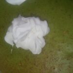 kolay ıspanaklı kek