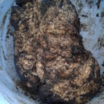 Haşhaşlı Katmer tarifi