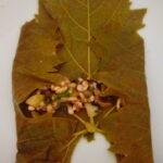 Zeytinyağlı Yaprak Sarması Tarifi