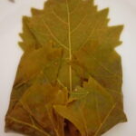 yaprak sarma tekniği