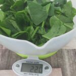 Ispanaklı Börek Tarifi