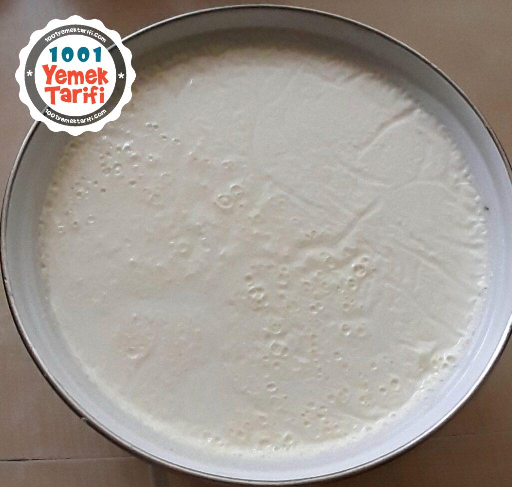 Evde Yoğurt mayalama