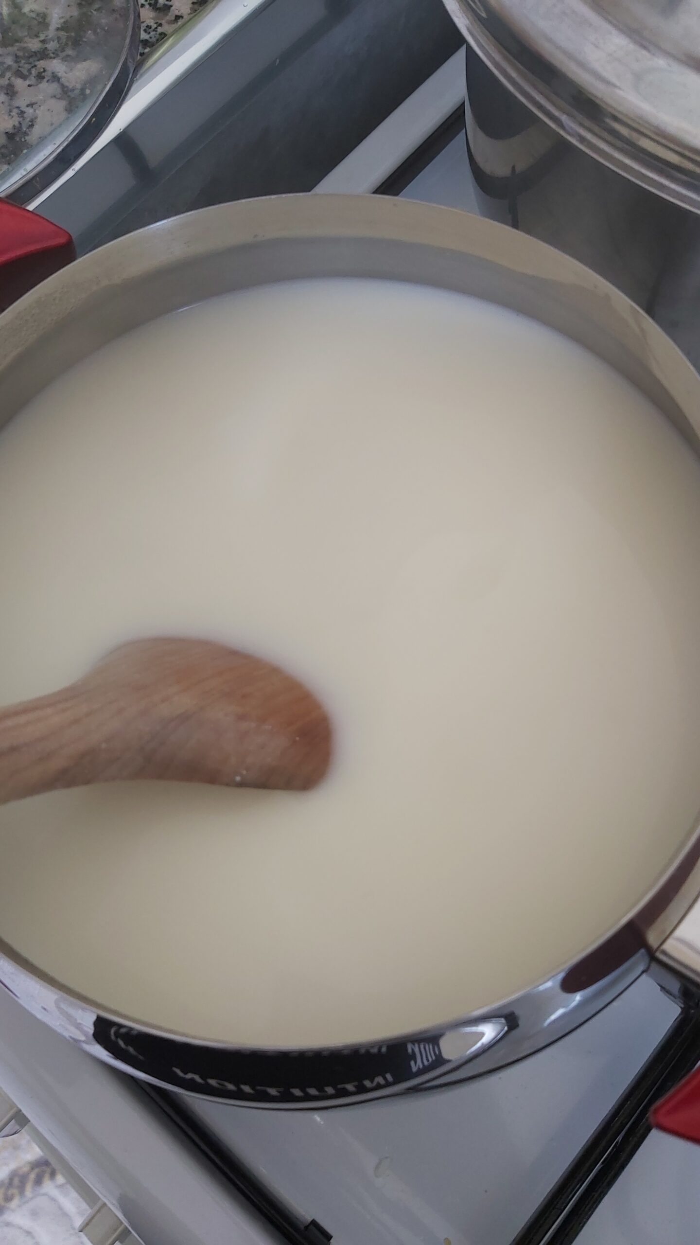 Sebzeli Ayran Çorbası