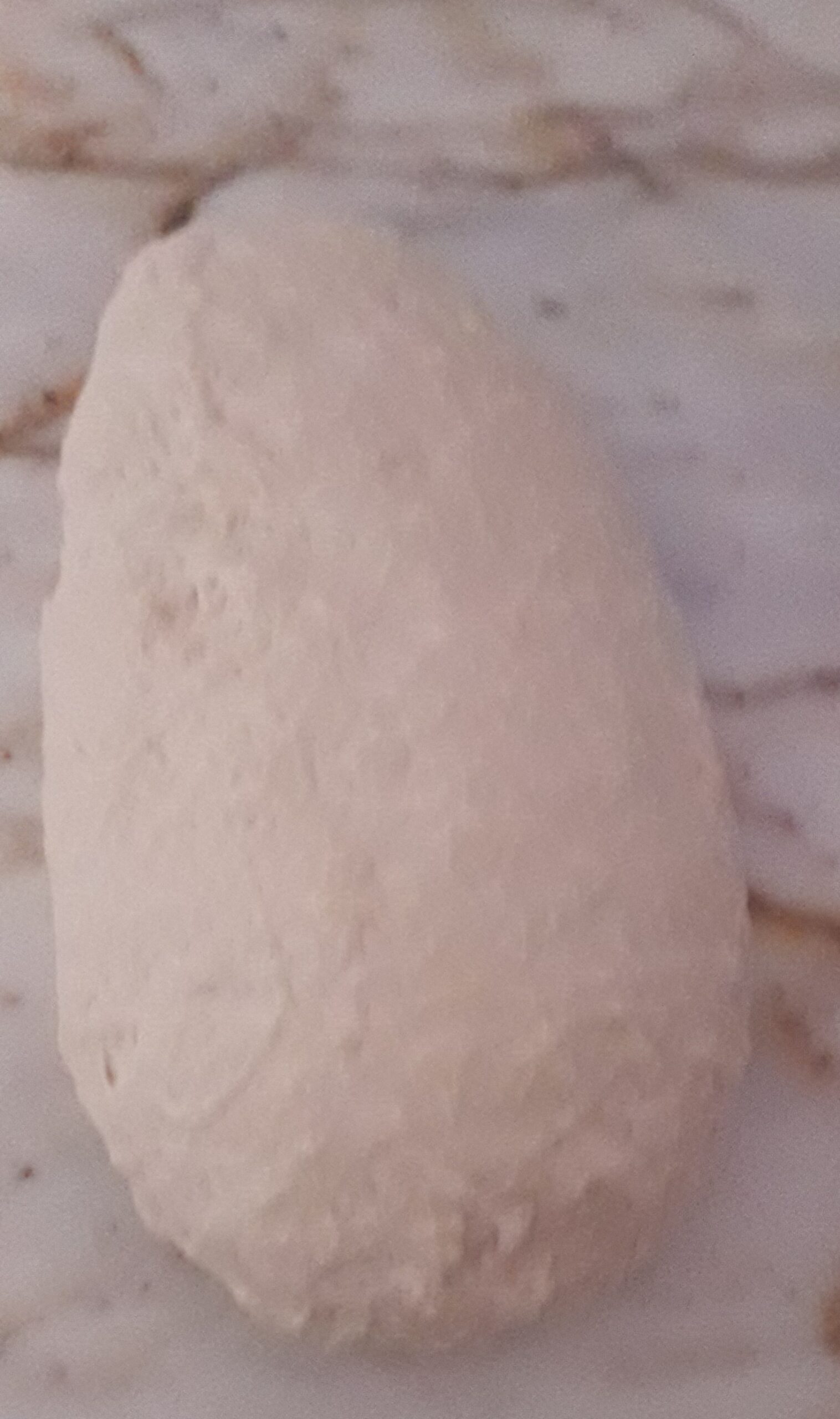 Haşhaşlı Sarma Tarifi