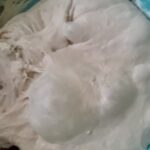 Nefis Bazlama Nasıl Yapılır