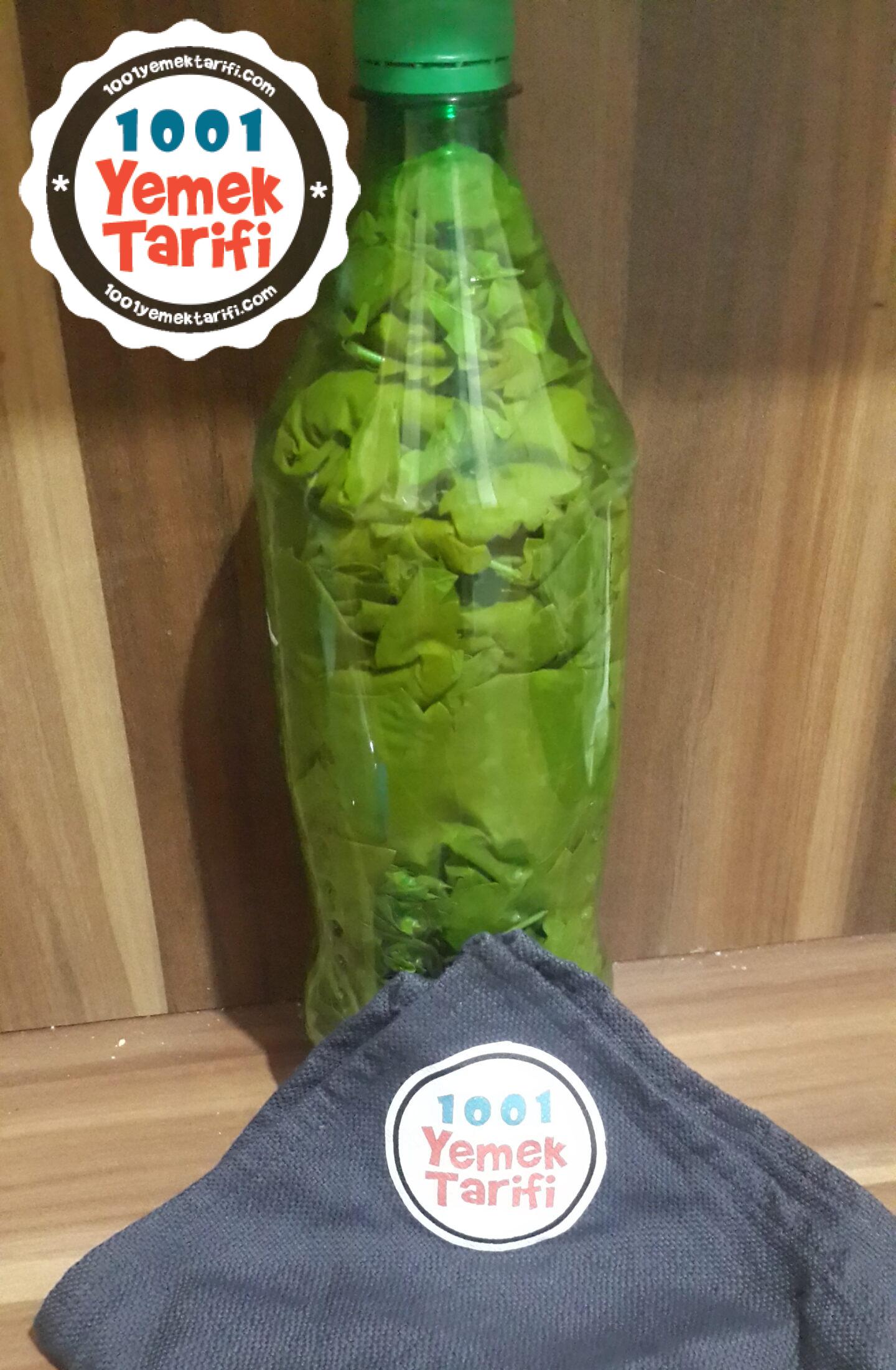 asma yaprağı saklama