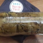 Asma Yaprağı Nasıl Saklanır (Kuru Basım)