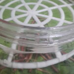 Salamura Asma Yaprağı Tarifi