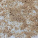 Wafflelı Yaş Pasta Tarifi