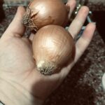 49F79514-E61F-4BD2-8E2A-D0057B9DBBBE