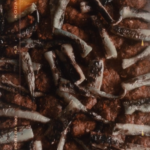 640CE595-B451-46B8-B39C-EB193D7447F7