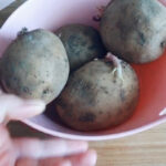 737AADEB-B3E0-447A-825D-F591C307C998