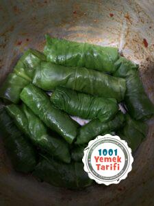 Pazı Sarması Nasıl Yapılır-tarifi yapımı-kaç kalori-kolay