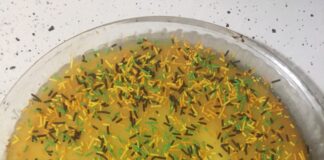 portakallı Kek Tarifi-nasıl yapılır-kaç kalori