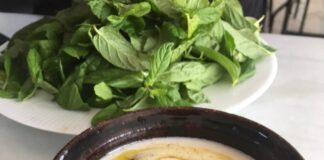 ✅Tam Ölçülü: Toyga Aşı