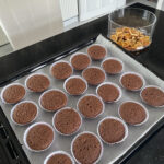 80A1C595-5FCF-475B-B4AB-E3F770A51318