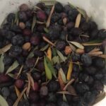 Siyah Zeytin tarif Nasıl Yapılır (Evde zeytin yapımı) kaç kalori
