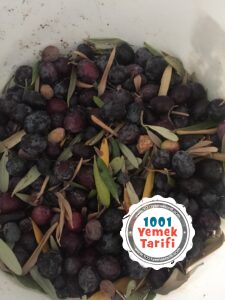 Siyah Zeytin tarif Nasıl Yapılır (Evde zeytin yapımı) kaç kalori