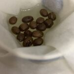 8A59B452-BBC9-42D3-8196-9DA25B1748DE