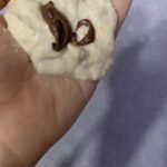 Çikolatalı poğaça tarifi