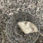 Yoğurt nasıl mayalanır