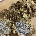 muzlu ballı yulaflı Diyet Kurabiye Tarifi nasıl yapılır