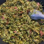 Madımak Yemeği Tarifi