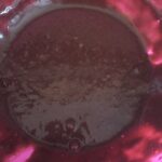 Browni Tadında Muffin Kek Tarifi-nasıl yapılır-kaç kalori