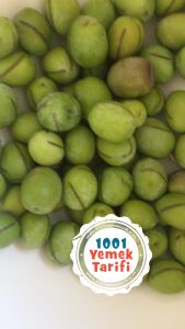 yeşil zeytin yapımı-ev yapımı kolay zeytin nasıl yapılır tarifi-1001yemektarifi