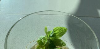 Vinaigrette Sos Tarifi (Vinegret Sosu) yapımı nasıl yapılır